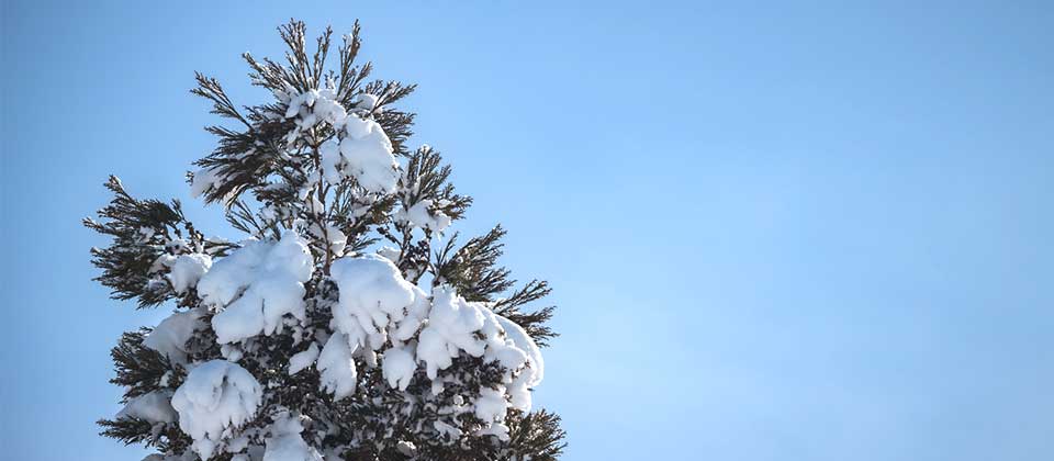 除雪・排雪・除排雪